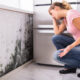 What Happens If Mold Is Found During Home Inspection?