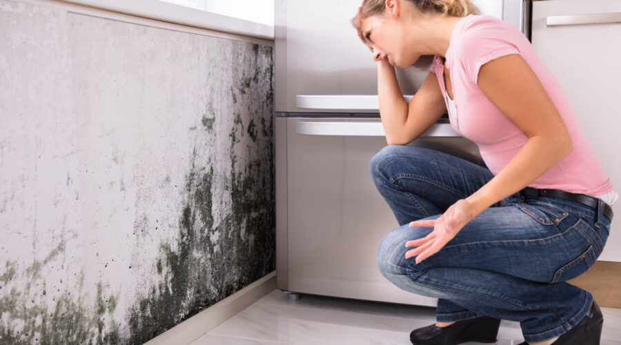 what happens if mold is found during home inspection